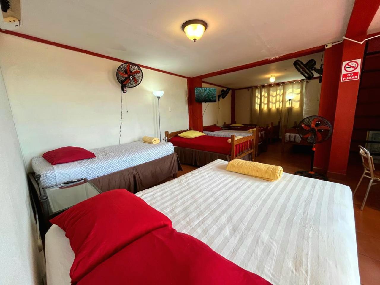 Hostal Lolita'S Boutique Гранада Экстерьер фото