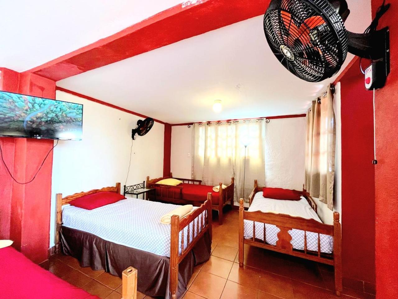 Hostal Lolita'S Boutique Гранада Экстерьер фото